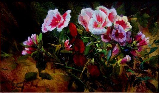 Godetia and Red Leaves