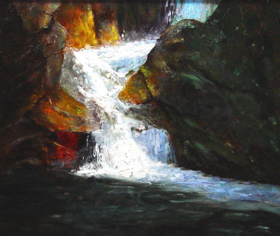 Lower Chasm Falls RMNP CO