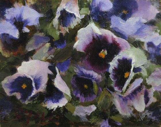 Purple White Pansies in Summer