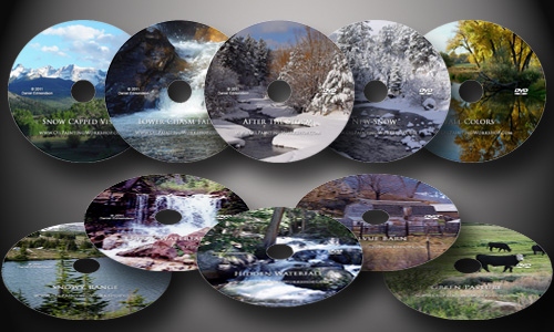 Landscape Painting Course